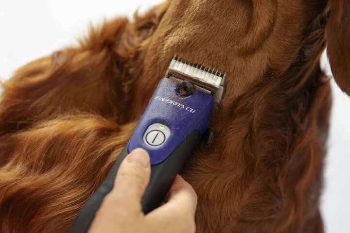 AESCULAP Akkuschermaschine Favorita CLi